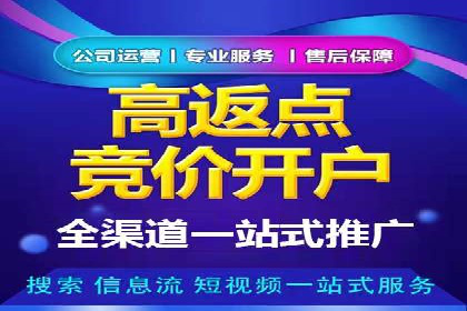 百度竞价包年推广策略——某行业巨头的成功经验