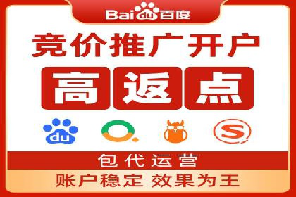某电商平台的SEM推广策略及效果分析